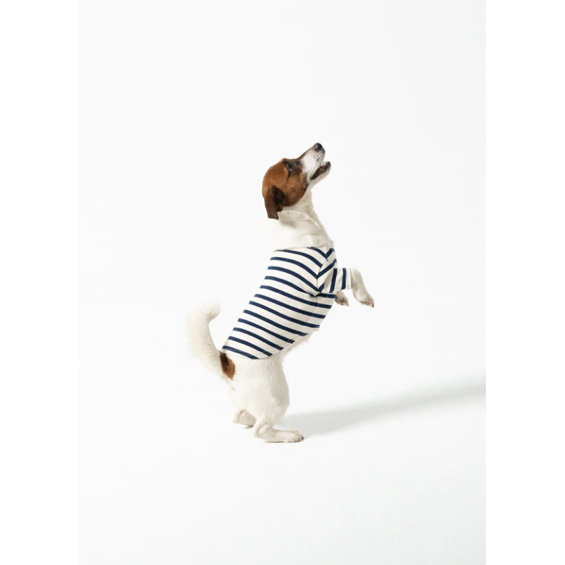 La Toutounière SAINT JAMES