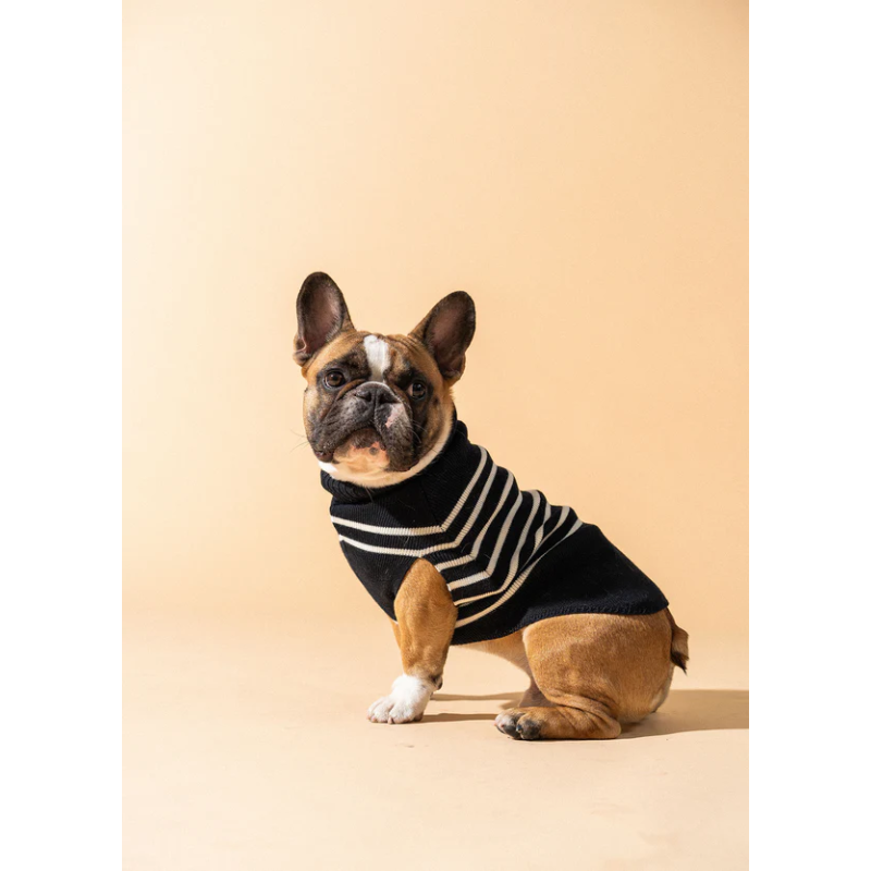 Le Toutoupull SAINT JAMES